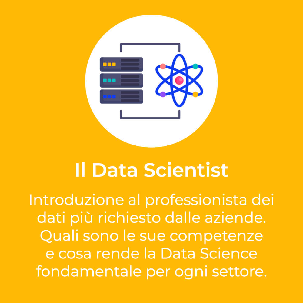 Il Data Scientist